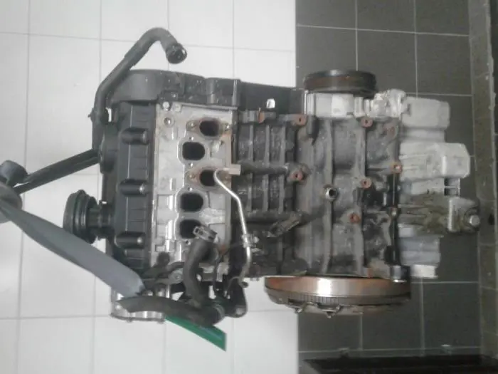 Engine Skoda Fabia