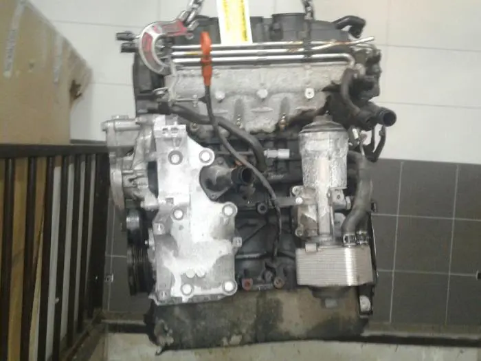 Engine Volkswagen Passat