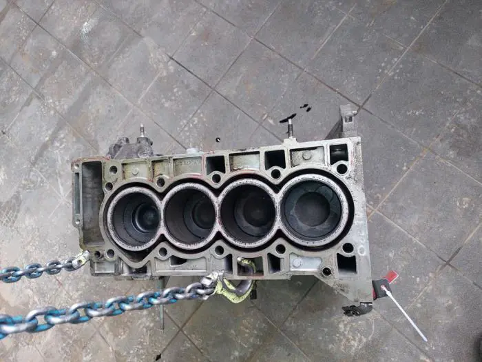Engine crankcase Opel Insignia